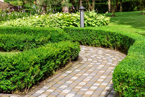 Paved Landscaping in Saint Augustine