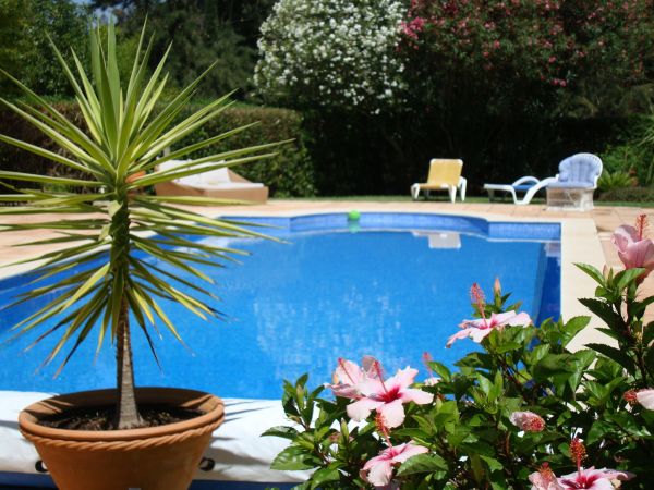 Pool Terrace Renovation in Saint Augustine